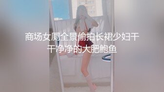 商场女厕全景偷拍长裙少妇干干净净的大肥鲍鱼