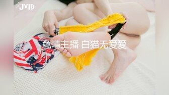 色情主播 白猫无爱爱