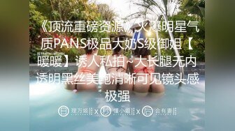 《顶流重磅资源》火爆明星气质PANS极品大奶S级御姐【暖暖】诱人私拍~大长腿无内透明黑丝美鲍清晰可见镜头感极强