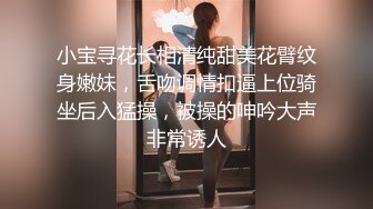 小宝寻花长相清纯甜美花臂纹身嫩妹，舌吻调情扣逼上位骑坐后入猛操，被操的呻吟大声非常诱人