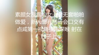 素颜女友露脸女上位无套啪啪做爱，新人面孔插一会口交有点咸第一视角按头深喉 射在肚子上 