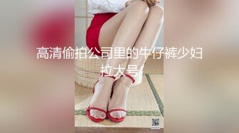 高清偷拍公司里的牛仔裤少妇拉大号